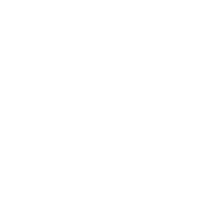 Tradição e experiência